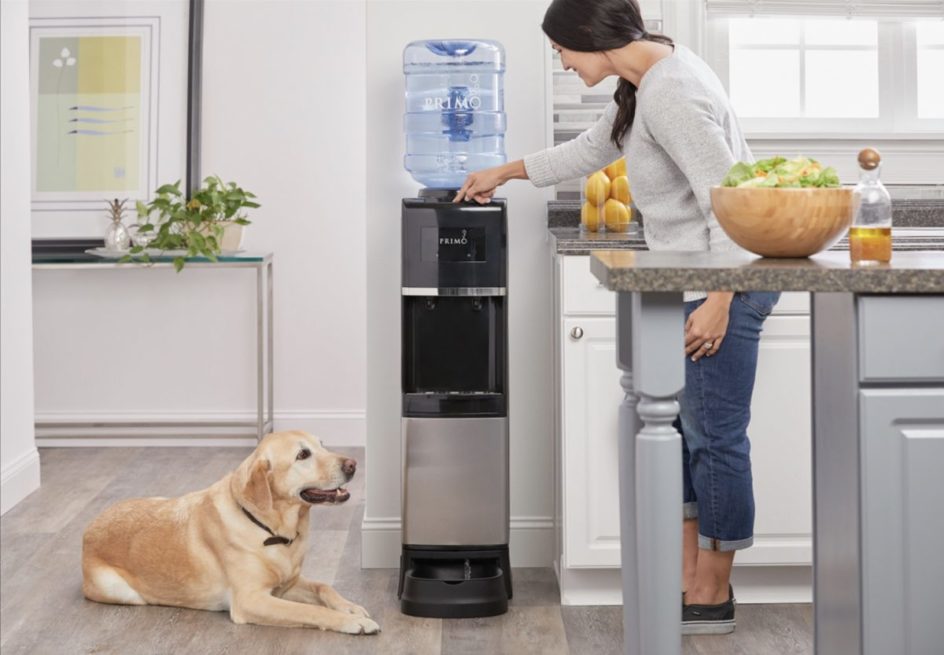 Best Water Coolers for Home