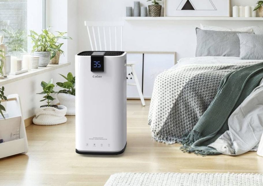 Colzer Home and Basement Dehumidifier